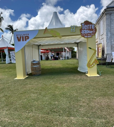 Festival Terre de Blues 2025 1