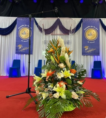 Graduation CFA IUTS 3